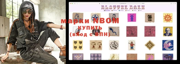 МДПВ Каменка
