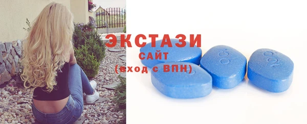 МДПВ Каменка