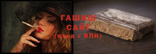 МДПВ Каменка