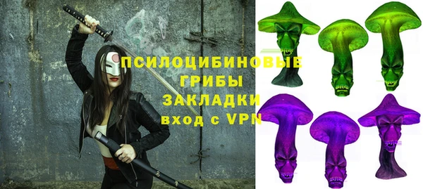 МДПВ Каменка