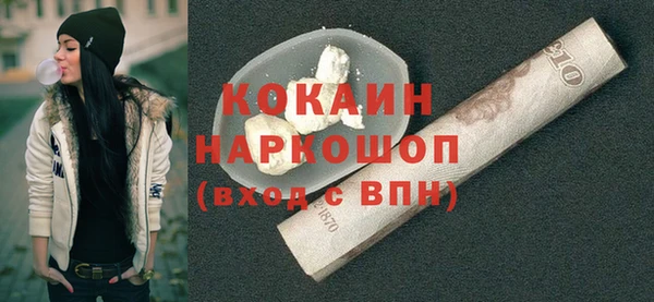 МДПВ Каменка