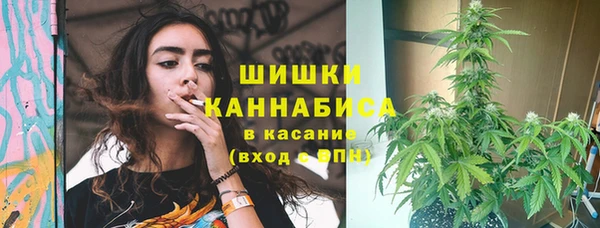 меф Каменск-Шахтинский
