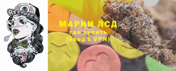 ПСИЛОЦИБИНОВЫЕ ГРИБЫ Каменногорск