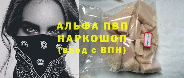 МДПВ Каменка
